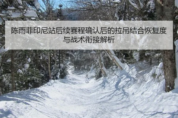 chen-yu-fei-yin-ni-zhan-hou-xu-sai-cheng-que-ren-hou-de-la-diao-jie-he-hui-fu-du-yu-zhan-shu-xian-jie-jie-xi-2-535.jpg